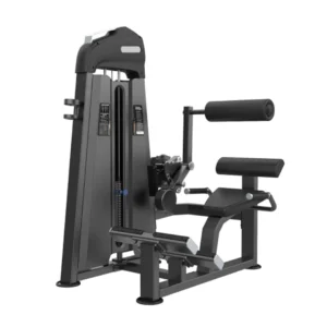 EXTENSIÓN LUMBAR - SILVER