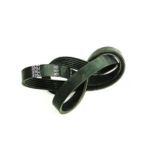 Correa de Transmisión para Bicicleta Recumbent Sportfitness